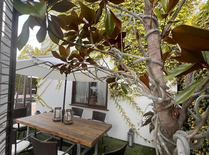 The Cozy Villa